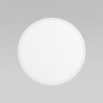 Уличный потолочный светильник Aqua IP54 CCT+DIM 18797 18797 Aqua