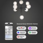 Умный потолочный светильник со стеклянными плафонами 50383 черный