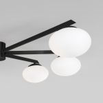 Потолочный светильник 70220/6 черный