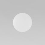 Настенный светильник 6009 Luna White