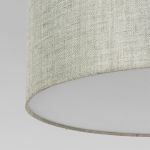 Потолочный светильник 4660 Earth