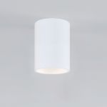 Накладной потолочный светильник 25011/01