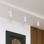 Накладной потолочный светильник 25011/01