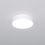 Потолочный светильник 90318/1 белый