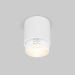 Потолочный светодиодный светильник Cors 25032/LED 10W 4200K белый