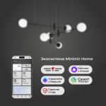 Умный подвесной светильник 70146/6 черный