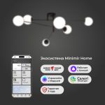 Умный потолочный светильник 30181/6 черный