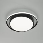 Потолочный светодиодный светильник 90251/1 черный