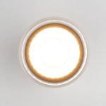 Уличный потолочный светильник Light LED 2107 IP54 35140/H черный