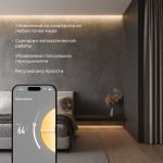 Умный контроллер для светодиодных лент dimming 12-24 В 95004/00