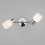 Настенный светильник с поворотными плафонами 20089/2 хром