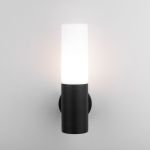 Настенный уличный светильник чёрный IP54 1418 TECHNO