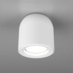 Накладной потолочный светильник DLN116 GU10