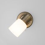Настенный светильник с поворотным плафоном 20089/1 бронза
