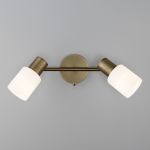 Настенный светильник с поворотными плафонами 20089/2 бронза