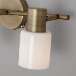 Настенный светильник с поворотными плафонами 20089/3 бронза