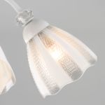 Потолочная люстра с плафонами 30155/5 белый
