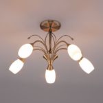 Потолочная люстра со стеклянными плафонами 30280/5