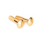 Винты для распределительной коробки/TV  розетки 2 шт. золото ретро WL18-22-01