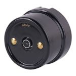 Винты для распределительной коробки/TV  розетки 2 шт. золото ретро WL18-22-01