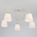 Потолочная люстра со стеклянными плафонами 70062/5 белый