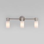 Светильник-спот с поворотными плафонами 20043/3 сатин-никель