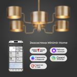 Умная потолочная люстра в стиле лофт 293/6