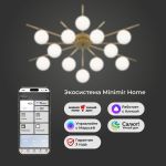 Умный потолочный светильник со стеклянными плафонами под лампочку G9 302001/12 латунь Smart