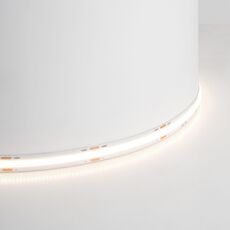 Cветодиодная LED лента Feron LS530 48271