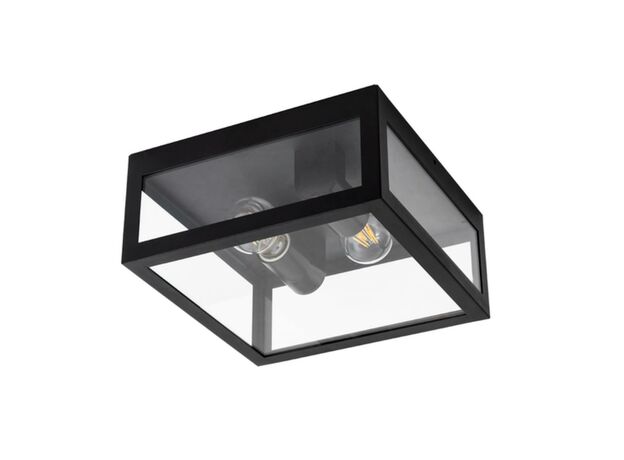 Потолочные светильники Arte Lamp A4569PF-2BK BELFAST