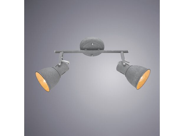 Точечные светильники Arte Lamp A1677PL-2GY A1677