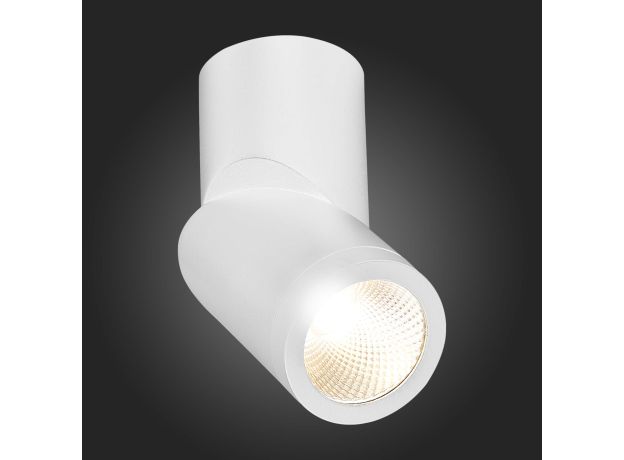 ST650.532.10 Светильник потолочный Белый LED 1*10W 3000K 800Lm Ra&gt;90 38° IP44 D62xH151 165-265V Накладные светильники