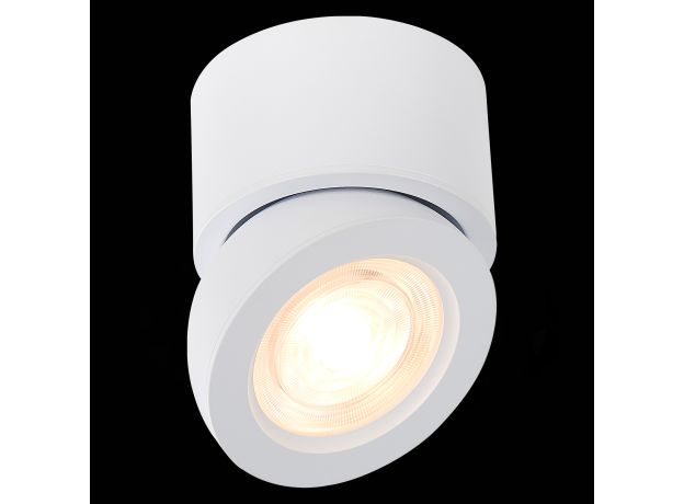 ST654.542.10 Светильник потолочный Белый LED 1*10W 4000K 850Lm Ra&gt;90 38° IP20 D95xH96 180-240V Накладные светильники