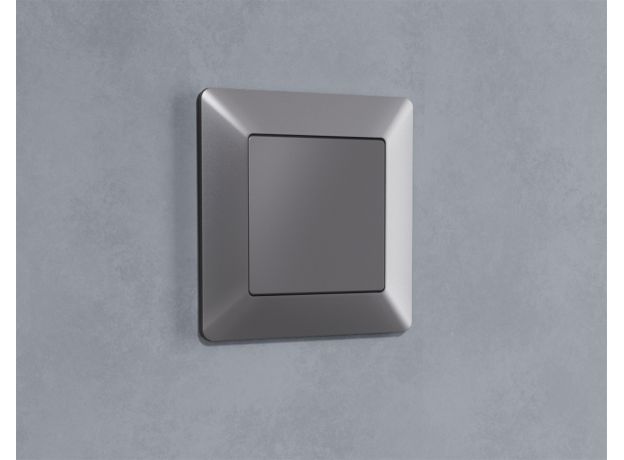 AF110501 Рамка ALFA Line (Сталь матовый) 1-ая