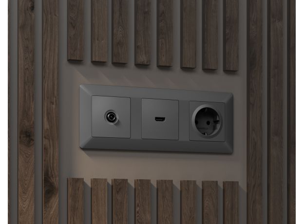 AF110501 Рамка ALFA Line (Сталь матовый) 1-ая