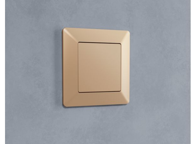 AF110601 Рамка ALFA Line (Шампань) 1-ая