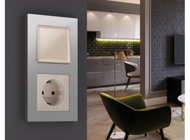 AF220401 Рамка ALFA Techno (Серебро глянец) 1-ая