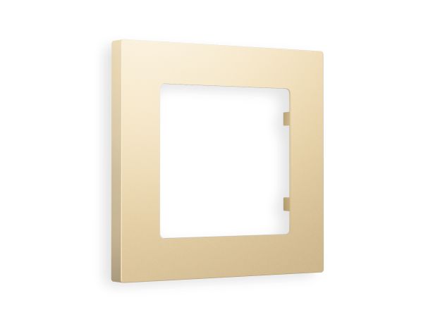 AF220601 Рамка ALFA Techno (Шампань) 1-ая