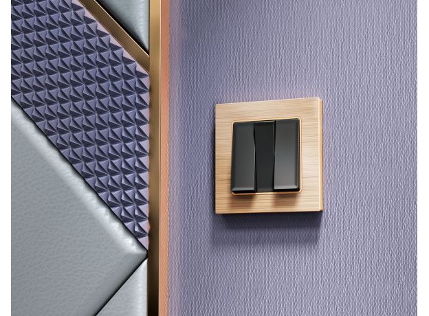 AF550301 Рамка ALFA Platos (Шампань Металл шлифованный) 1-ая