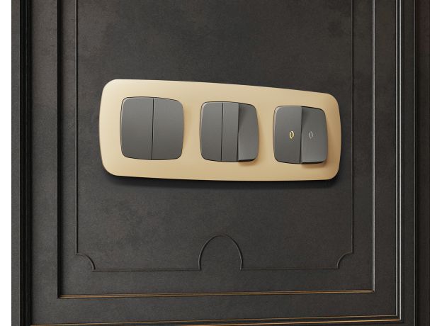 OF140601 Рамка OMEGA Ecta (Шампань) 1-ая