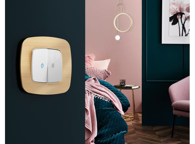 OF580302 Рамка OMEGA Radian (Шампань Металл шлифованный) 2-ая