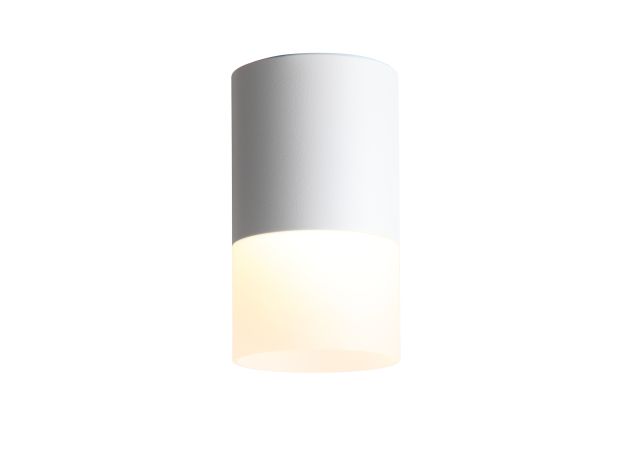 Потолочные светильники ST Luce ST100.502.10 OTTU