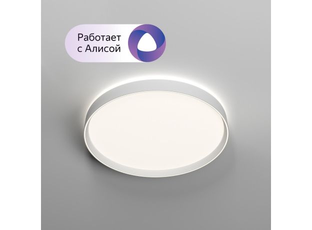 Потолочные светильники Denkirs DK6511-WH/1 PLATO