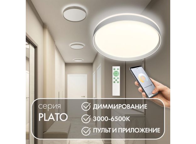 Потолочные светильники Denkirs DK6511-WH/1 PLATO