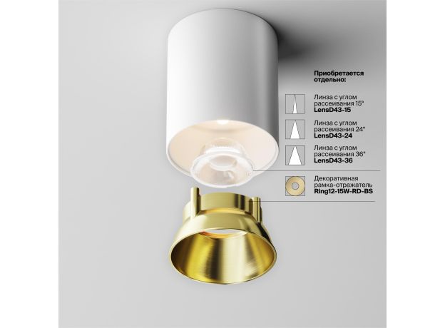 Точечные светильники Maytoni C064CL-12W3K-RD-WB Alfa LED