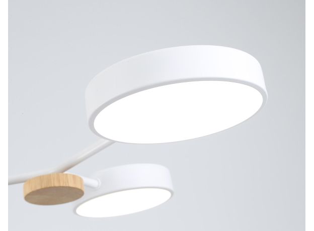Подвесные светильники Ambrella FL4858 FL