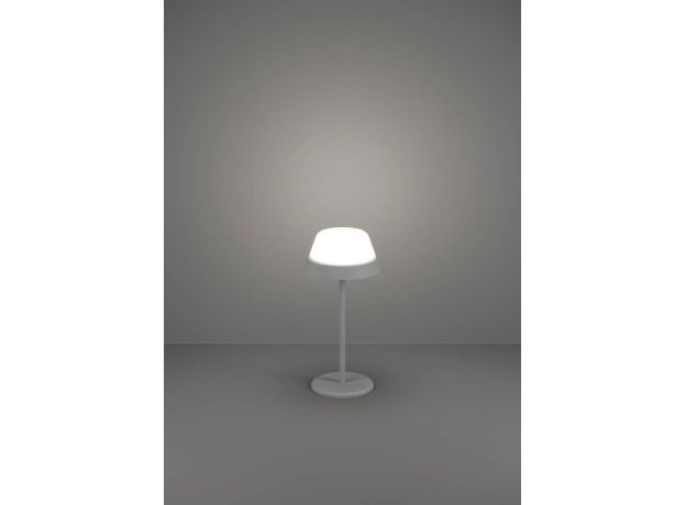 Настольные лампы Eglo 900978 MEGGIANO