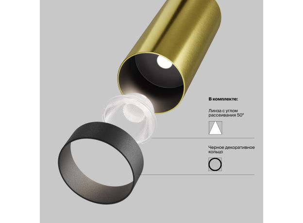 Точечные светильники Maytoni C055CL-L12W2.7K-W-BS FOCUS LED