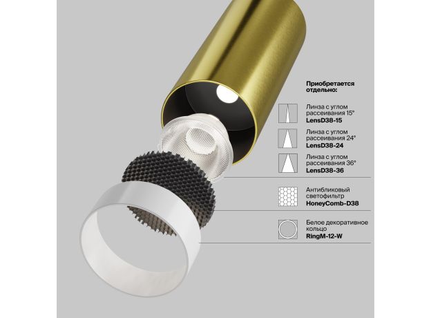 Точечные светильники Maytoni C055CL-L12W2.7K-W-BS FOCUS LED