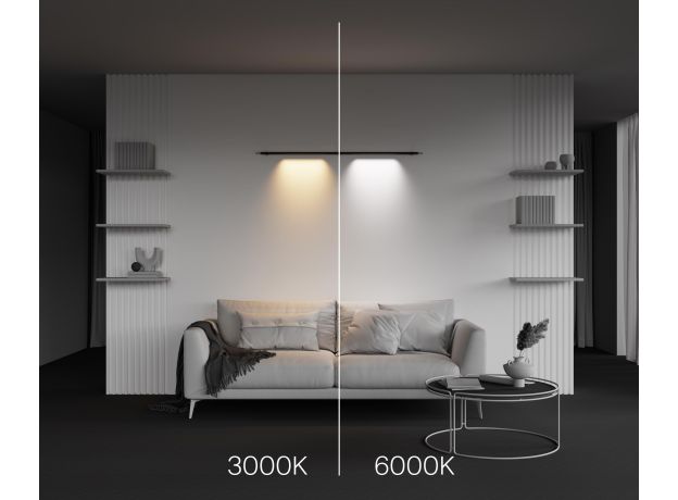Трековое освещение Maytoni C101CL-L500-12W3-6K-B Points